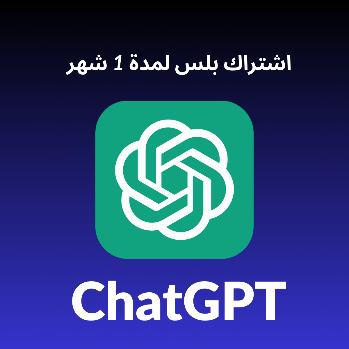 ChatGPT 1 Month Private
